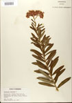000027553-thumbnail.jpg