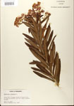 000027554-thumbnail.jpg