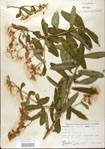 000027555-thumbnail.jpg