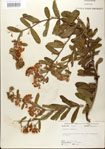000027556-thumbnail.jpg