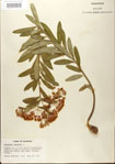 000027557-thumbnail.jpg