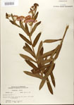 000027559-thumbnail.jpg