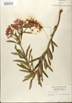 000027560-thumbnail.jpg
