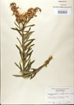 000027561-thumbnail.jpg