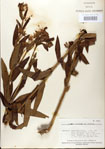 000027563-thumbnail.jpg