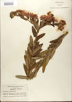 000027564-thumbnail.jpg