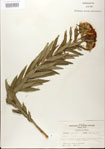 000027565-thumbnail.jpg
