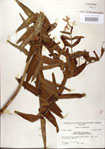 000027566-thumbnail.jpg