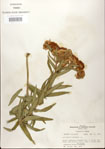 000027567-thumbnail.jpg