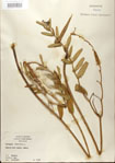 000027569-thumbnail.jpg