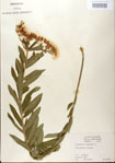 000027570-thumbnail.jpg