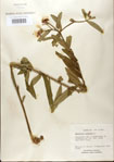 000027571-thumbnail.jpg
