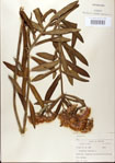 000027573-thumbnail.jpg