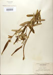 000027574-thumbnail.jpg