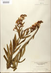 000027575-thumbnail.jpg