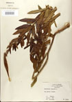 000027576-thumbnail.jpg