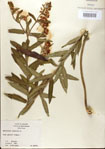 000027577-thumbnail.jpg
