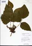 000027579-thumbnail.jpg