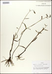 000027934-thumbnail.jpg