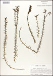 000027935-thumbnail.jpg