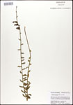 000027936-thumbnail.jpg
