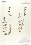 000027937-thumbnail.jpg