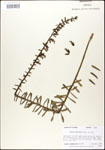 000027938-thumbnail.jpg