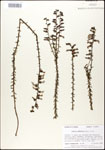 000027939-thumbnail.jpg
