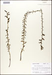 000027940-thumbnail.jpg