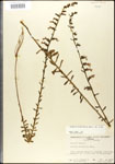 000027941-thumbnail.jpg