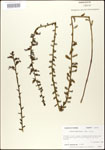 000027942-thumbnail.jpg