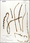 000027943-thumbnail.jpg