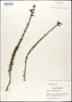 000027944-thumbnail.jpg