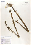 000027945-thumbnail.jpg