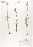000027946-thumbnail.jpg