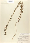 000027947-thumbnail.jpg