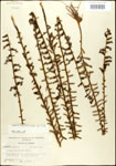 000027948-thumbnail.jpg