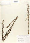 000027949-thumbnail.jpg