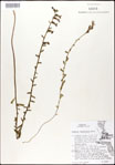 000027951-thumbnail.jpg