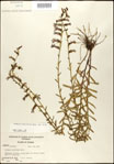 000027952-thumbnail.jpg
