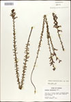 000027953-thumbnail.jpg