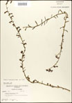 000027954-thumbnail.jpg