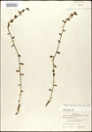000027956-thumbnail.jpg