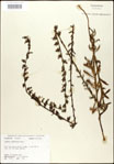 000027957-thumbnail.jpg
