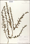 000027959-thumbnail.jpg