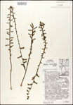 000027960-thumbnail.jpg