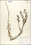 000027962-thumbnail.jpg