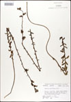 000027963-thumbnail.jpg