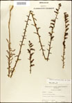000027964-thumbnail.jpg