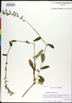 000027965-thumbnail.jpg
